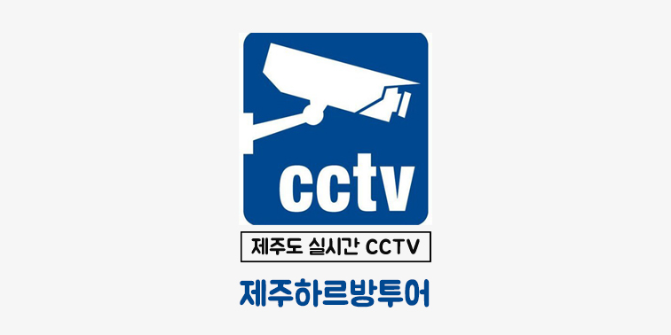 제주도 실시간 CCTV 사이트 『제주하르방투어』