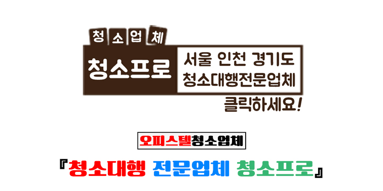 오피스텔 (서울 인천 경기) 청소대행 전문업체 『청소프로』