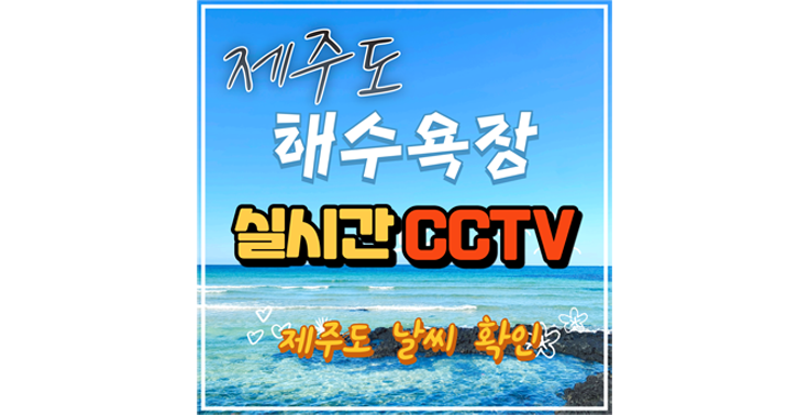 제주 해수욕장 실시간 CCTV 스마트폰에서 확인하자 『제주도CCTV』